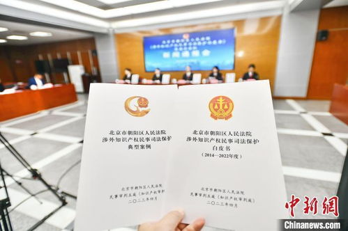 北京朝阳法院发布涉外知识产权民事司法保护白皮书 提升服务能力，优化营商环境
